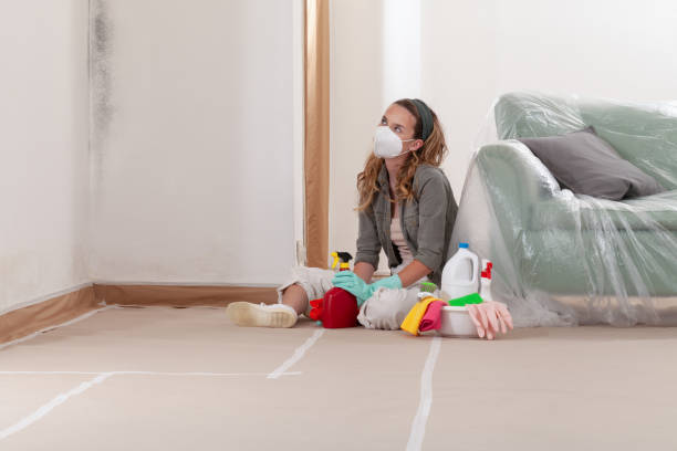 Reliable Mold Remediation contractor in Franklin, VA by WQB Mold Removal